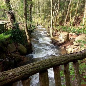 C�mping Parc Gualba