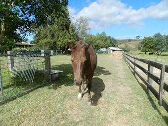 Agroturismo Glenfield Cottage