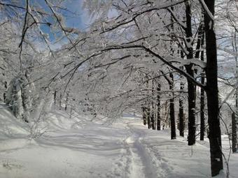 Apartamento Landhaus Laih