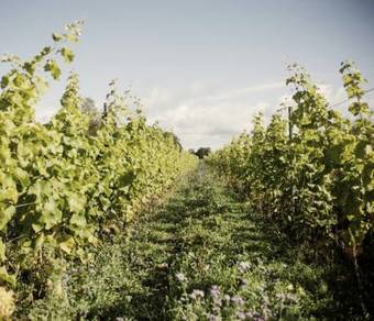 Hostal �stad G�rd