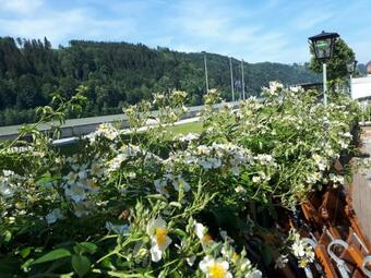 Hotel Gasthof Alte Schiffspost
