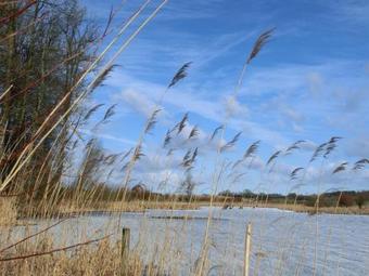 Dom�ne Neu Gaarz Hostel