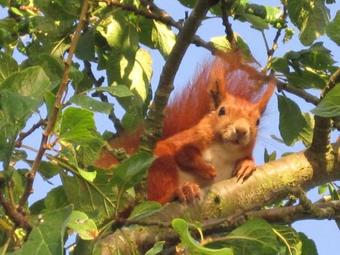 B&B Piccobello Vall�by K�ge