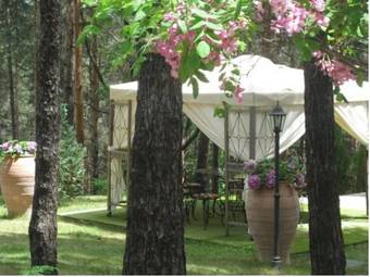 Spa Hotel Borova Gora