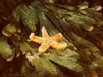 Apartment Location De Vacances A Crozon - Morgat Bord De Mer 3