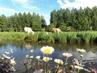 House Vast (le) - 8 Pers, 168 M2, 5/4