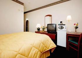 Hotel Comfort Inn (lacey)