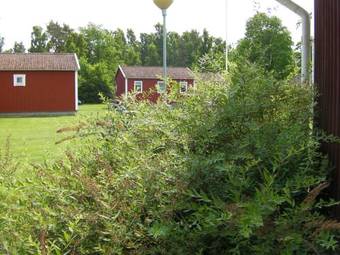 Hostal Visings� Vandrarhem