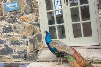 Stephen Davey Barn