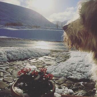 Balsporran Bed And Breakfast