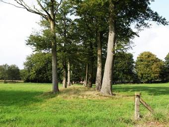 Holiday Home St Pietersveld Wingene