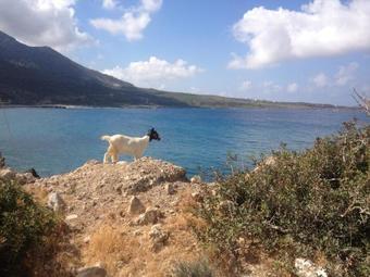 Apartamento Lefteris Rooms