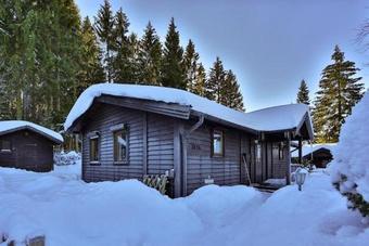 Waldsee-ferienhaus-mit-kamin-w-lan