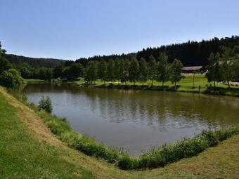 Wooden Style Holiday Home In Saint-quirin With Terrace Offering Scenic Views