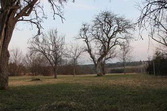 Hostal Orb�n Porta