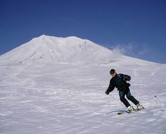 Hostal P-dash Garden