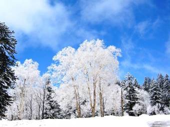 Asahidake Manseikaku Hotel Deer Valley