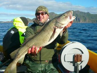 Two-bedroom Holiday Home In Gravdal 1