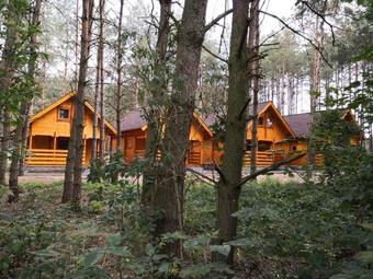 Lodge Domki Wiose?ko