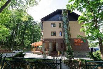 Hotel Go?ciniec Pod Bukiem