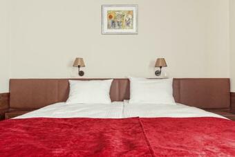 Hotel Maestro