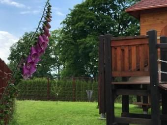 Hostal Bursztynowe Buki