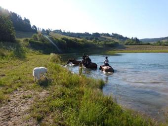 Agroturismo Ropuszy Dw�r