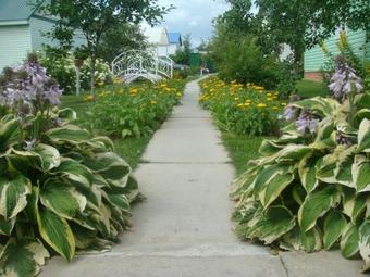 Hostal Guest House Kuban
