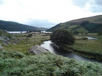 Bed & Breakfast Lough Dan House