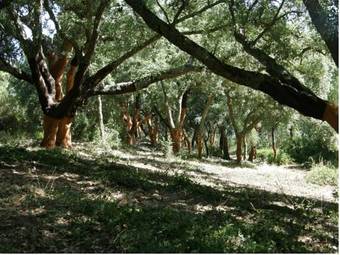 Agroturismo A Serenada Enoturismo