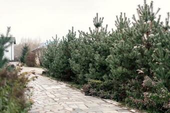 Hotel Eco Club Kremichnoe Podvorye