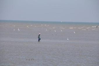 Fisherman's Villa Sea View