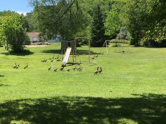 Hotel Best Western Sword Motor Inn