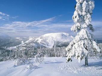 Vemdalsskalet H�gfj�lls Apartments