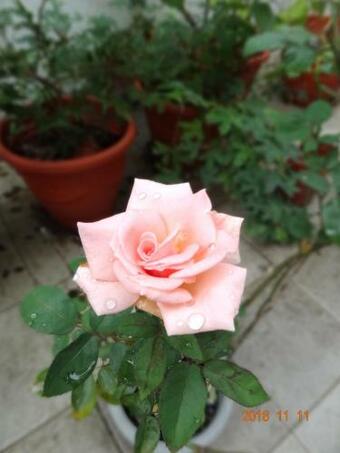 Cycling Taiwan Guesthouse