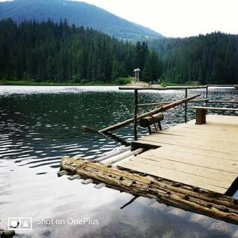 Hostal Sadyba Volosky Potik