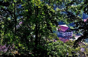 Hotel Stupari