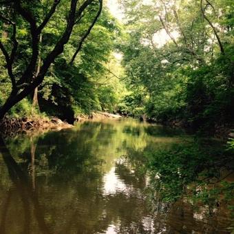 Bed & Breakfast The Guest House