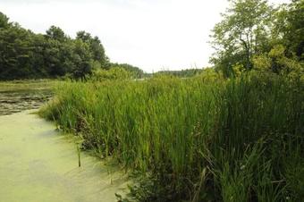 Gateway To Cape Cod 38 Ft. Park Model 12