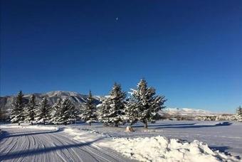 Mountain-treetop