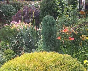 Hostal Penzion Areal Zamma