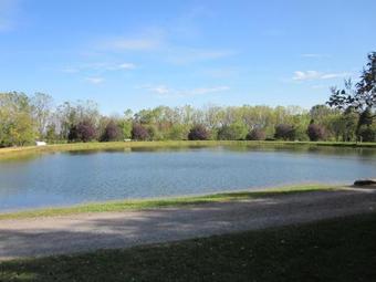 Appalachian Camping Resort Park Model 8