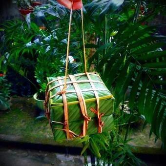 Coi Xay Gio Homestay