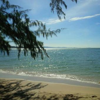 Hotel Bamboo Cottages