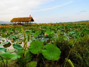Phong Nha Tarzan's Homestay