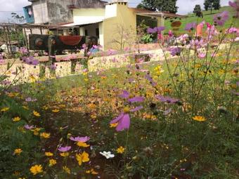 Homestay L�ng Ch� 69