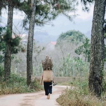 The November - Moc Chau