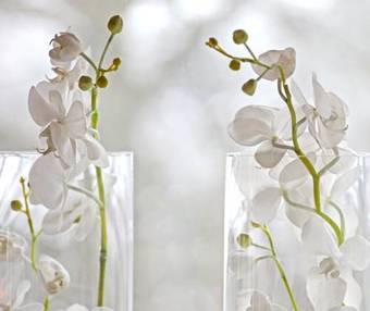 Albert K�k Hotell & Konferens