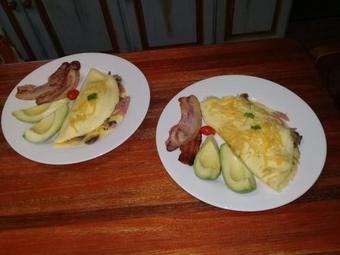Bed & Breakfast Kattekwaad Accommodation