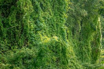 Agroturismo Turisti?na Kmetija ?tanfel